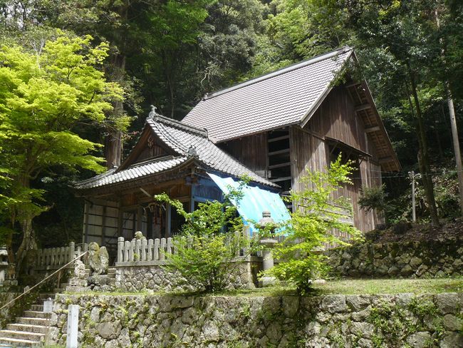 �c���_��