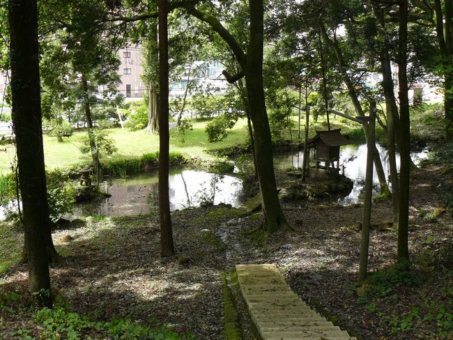 �c���_��