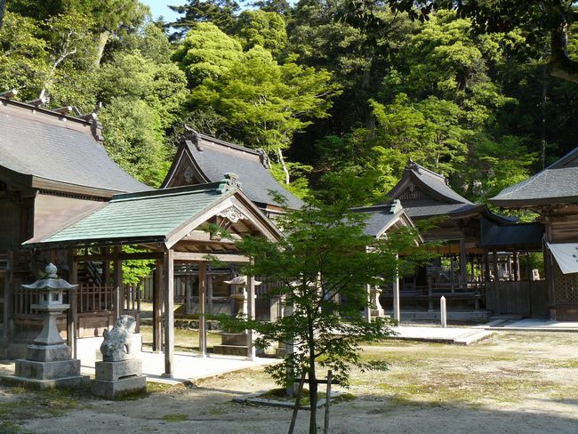 ���g�_��