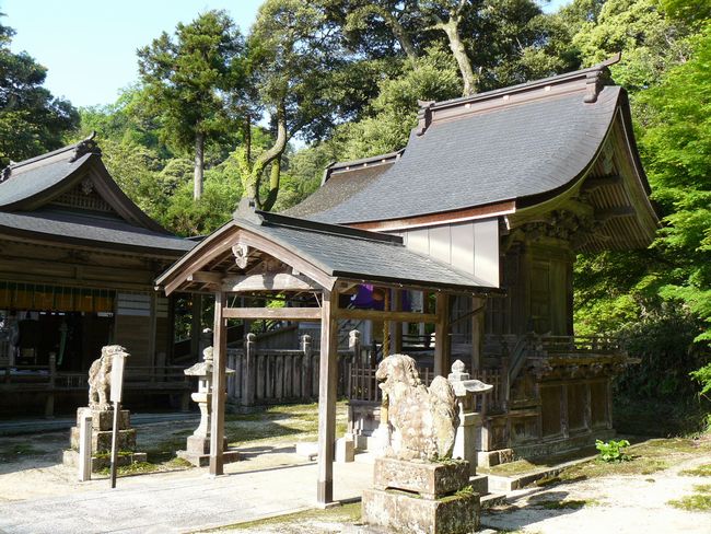 ���g�_��