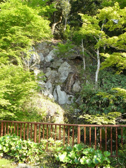 ���g�_��