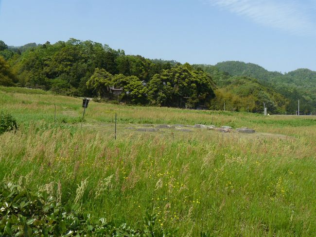 �O�㍑������