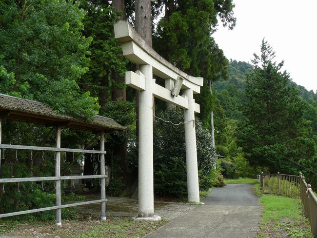 �m�䔪���_��