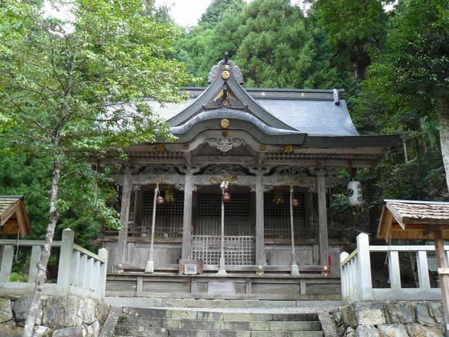 �m�䔪���_��