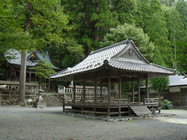 �m�䔪���_��