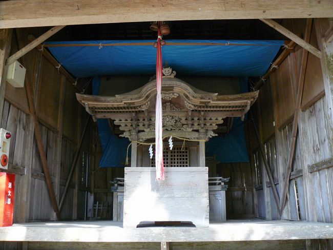 �����_��