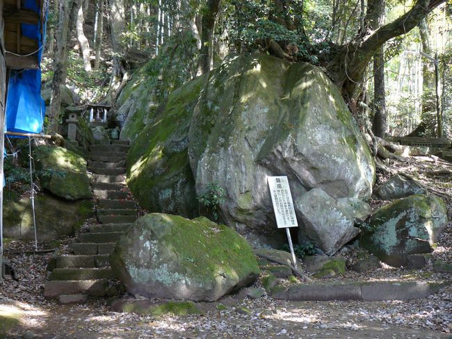 �����_��