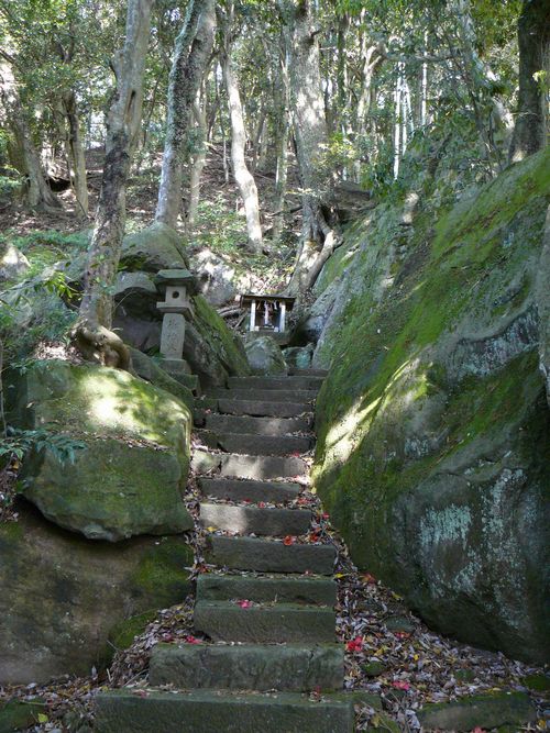 �����_��