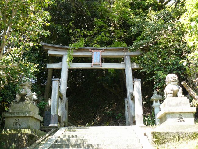 ���g�_��