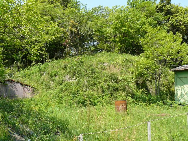 ���q�R�Õ�