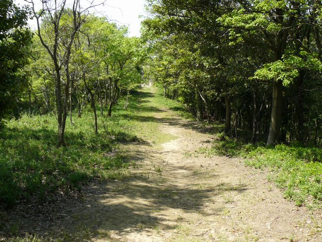 ���q�R�Õ�