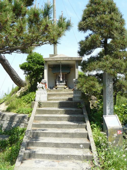 �����_��