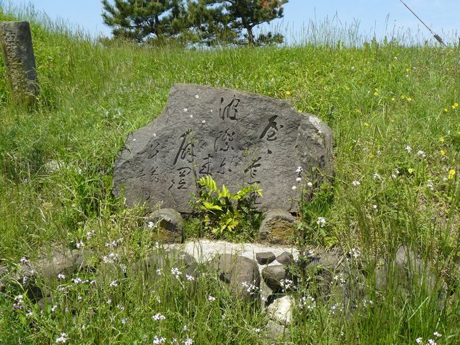 �����_��