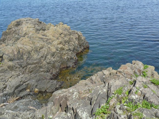 �����_��