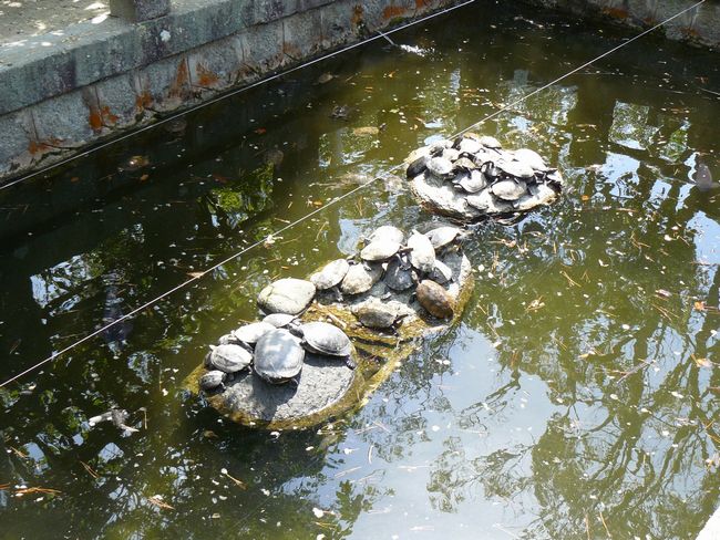 �����䗅�_��