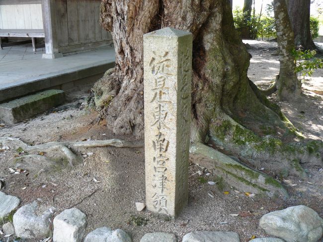 ��{���_��