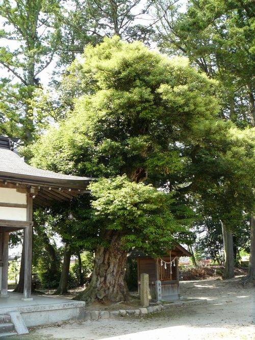 ��{���_��