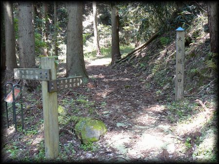 �g���R��