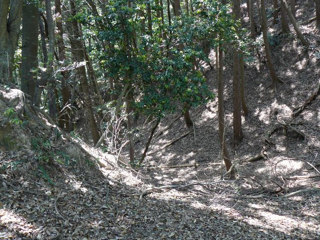 �g���R��