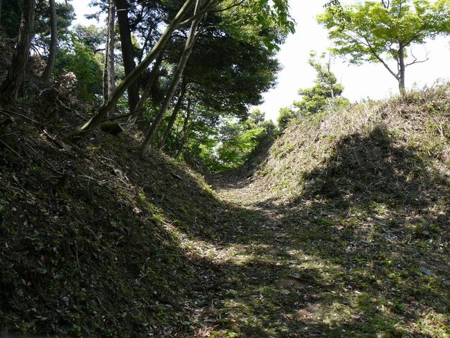 �g���R��