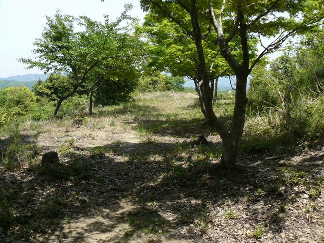 �g���R��