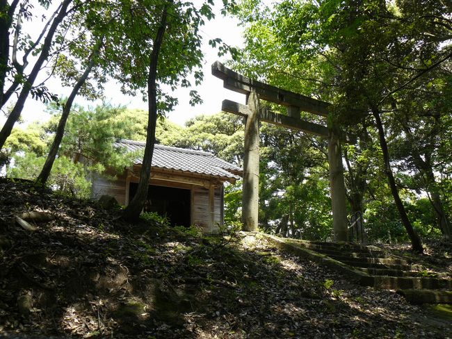 �g���R��