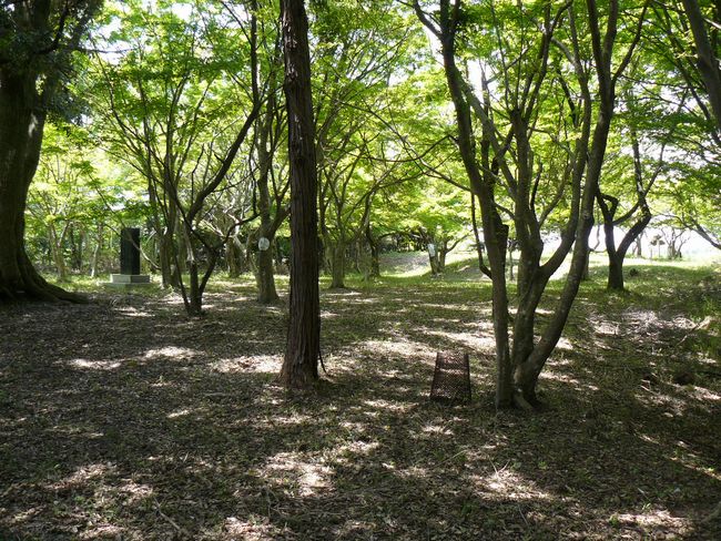 �g���R��