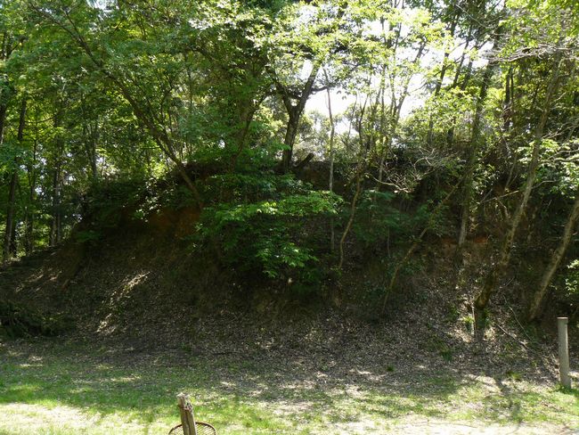 �g���R��