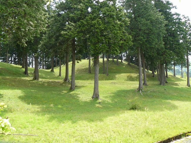 �g�q�R�Õ�