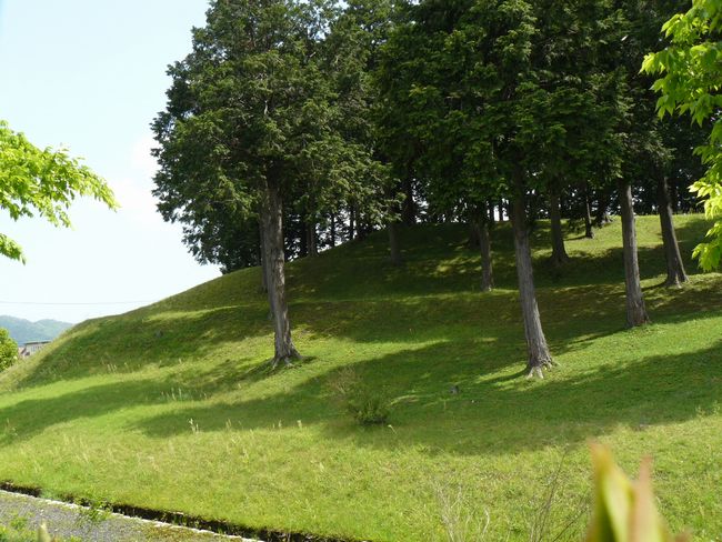 �g�q�R�Õ�