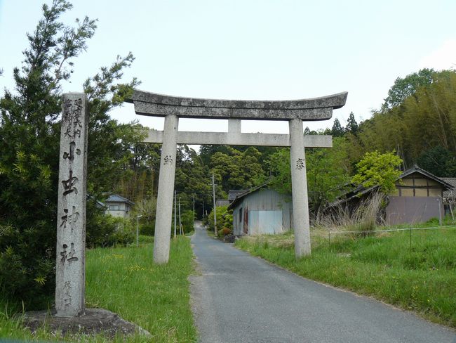 �����_��