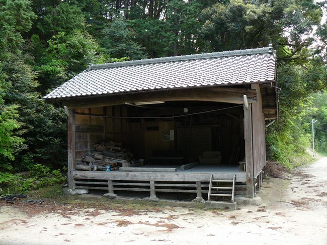 �����_��