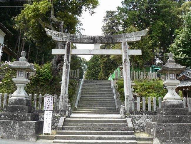 �`���_��