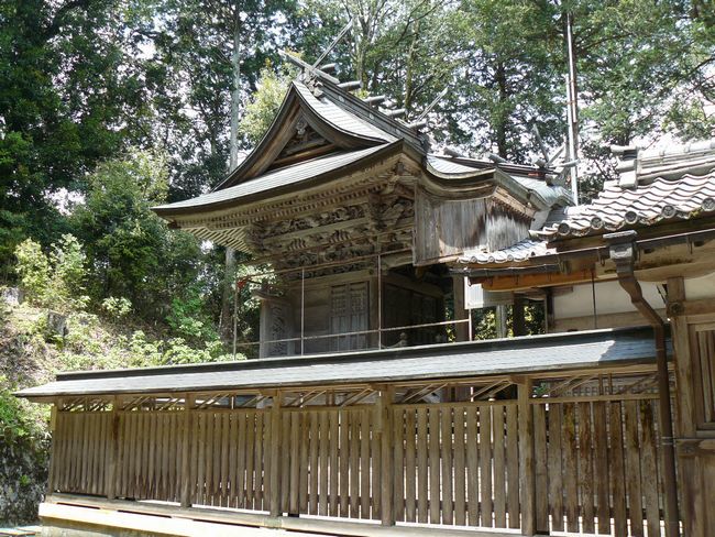 �`���_��