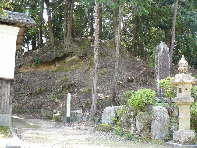 �`���_��