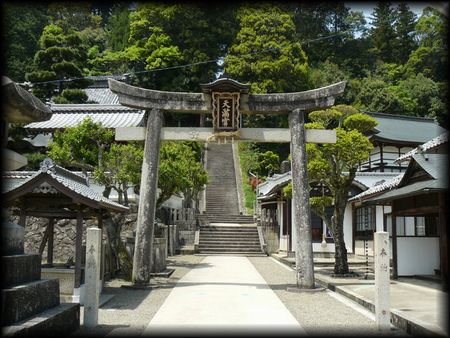 �V���_��